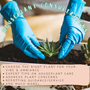Houseplant Consultations