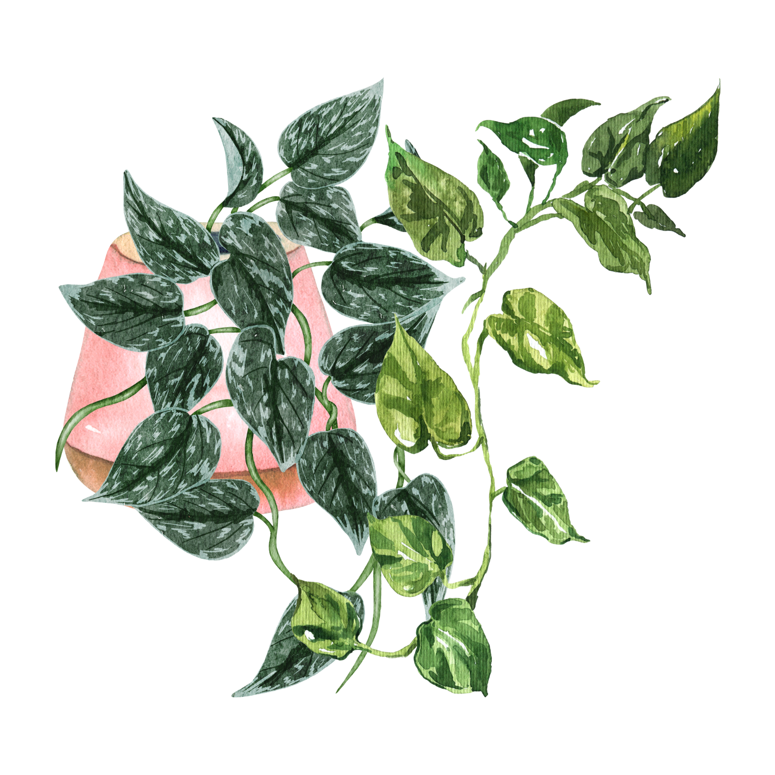 C&C Logo_Beige Minimalist Flower Shop Business Logo-11