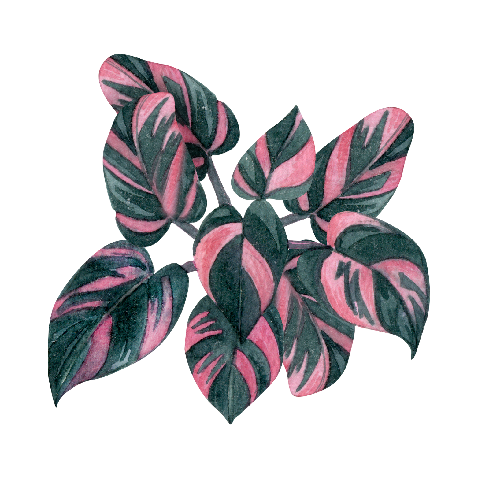 C&C Logo_Beige Minimalist Flower Shop Business Logo-7