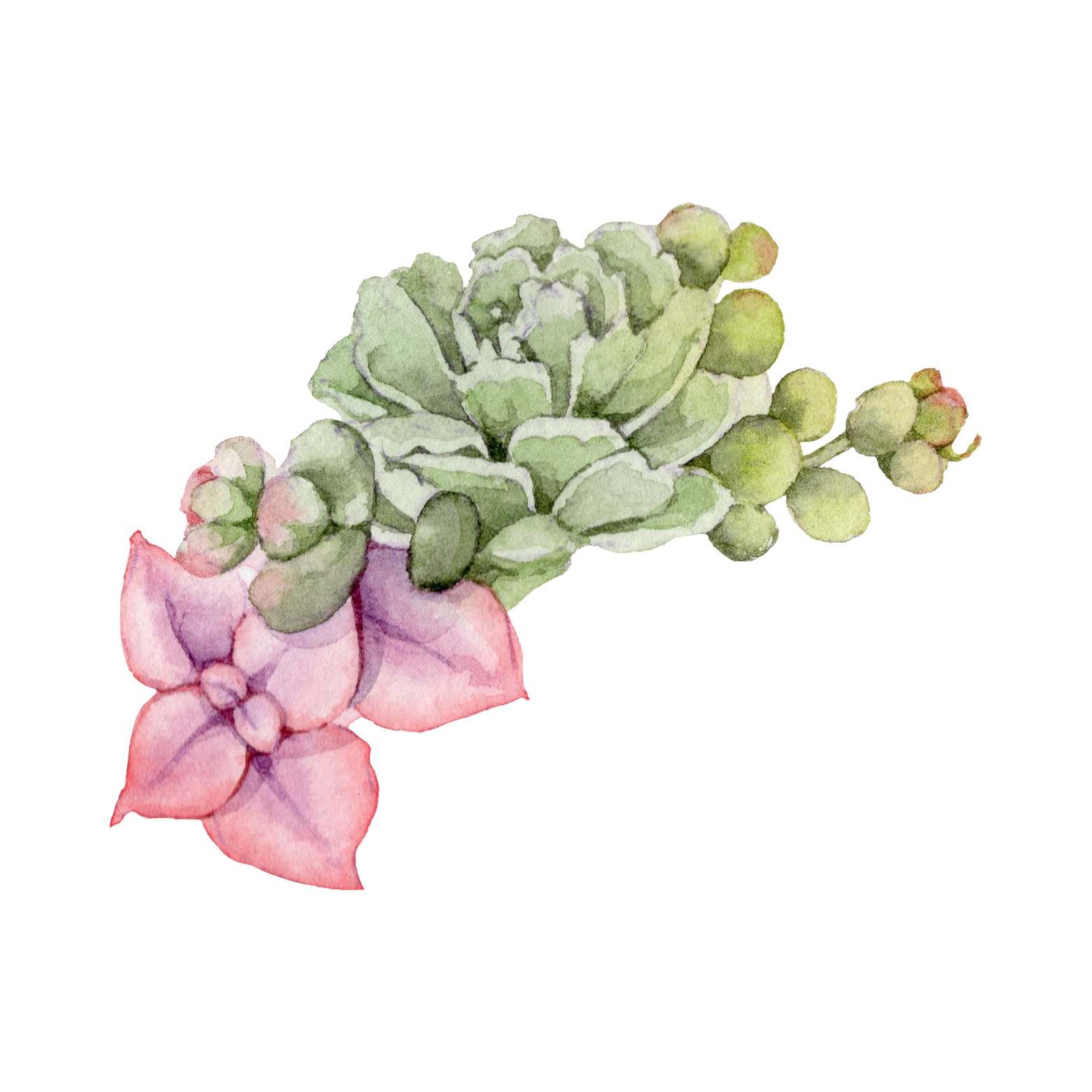 C&C Logo_Beige Minimalist Flower Shop Business Logo-8