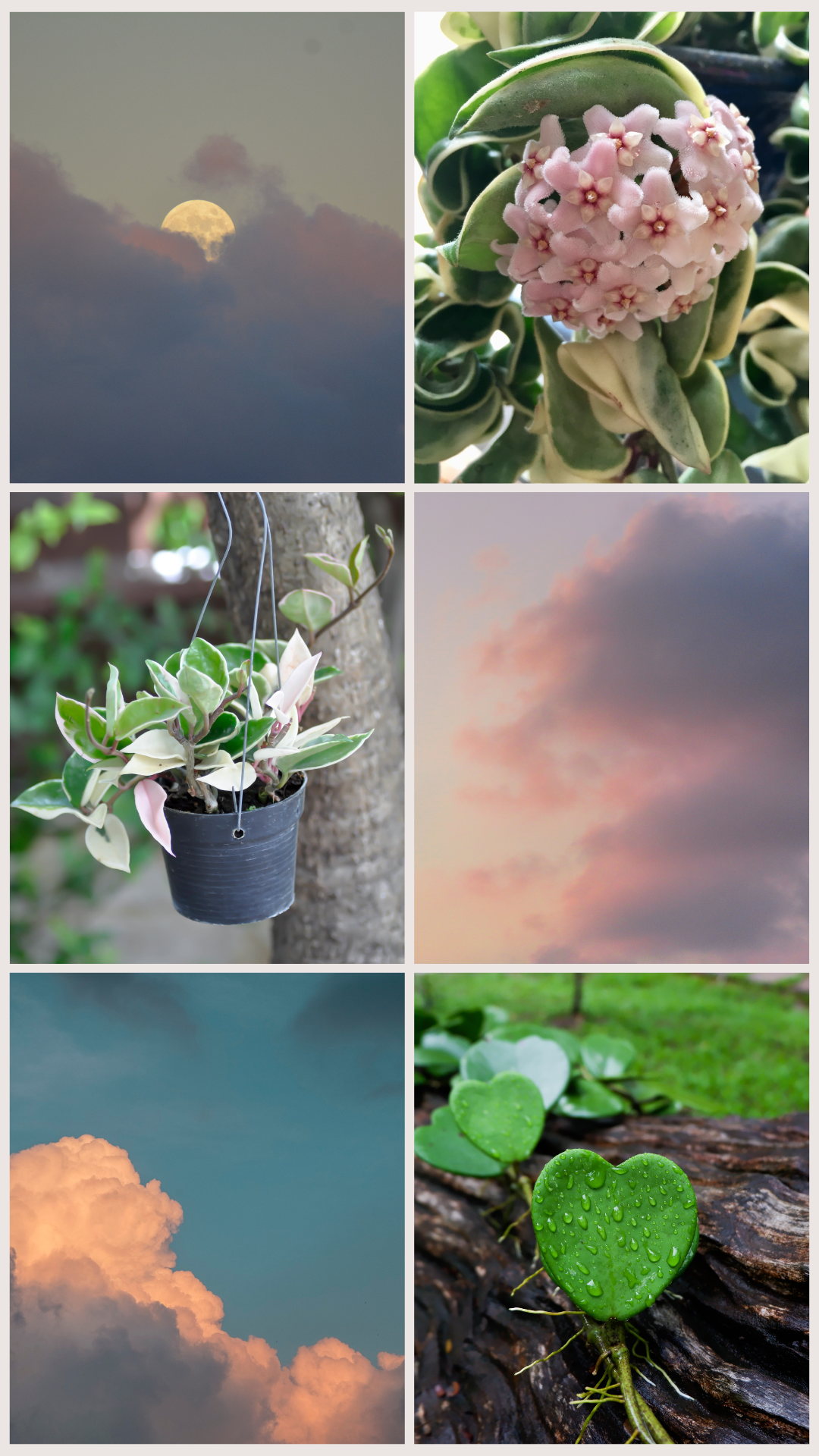Minimalist Nature Inspiration Photo Collage Your Story-3