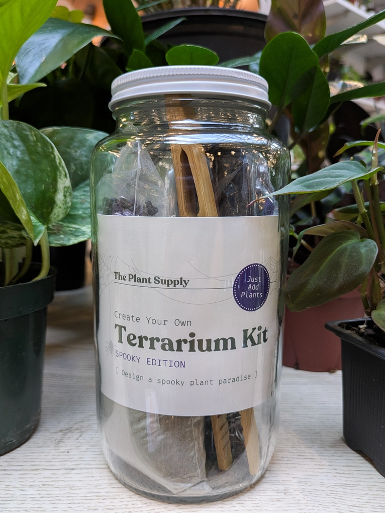 Halloween DIY Terrarium | Fall Plant Craft Kit - Image 2