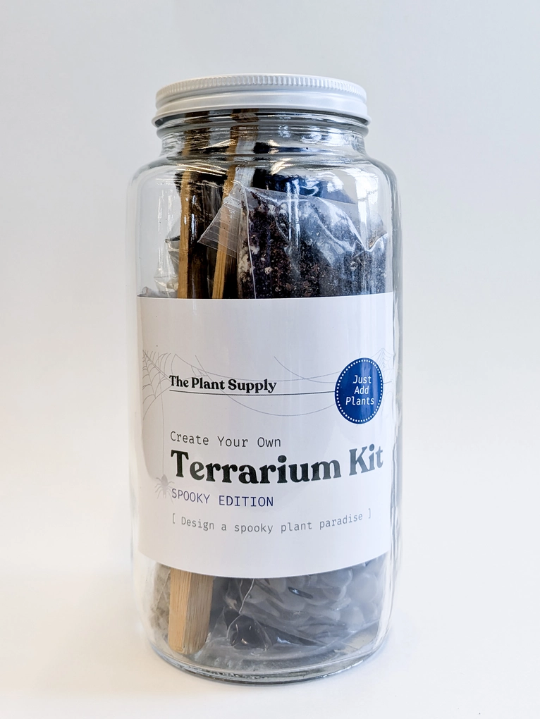 Halloween DIY Terrarium | Fall Plant Craft Kit - Image 3
