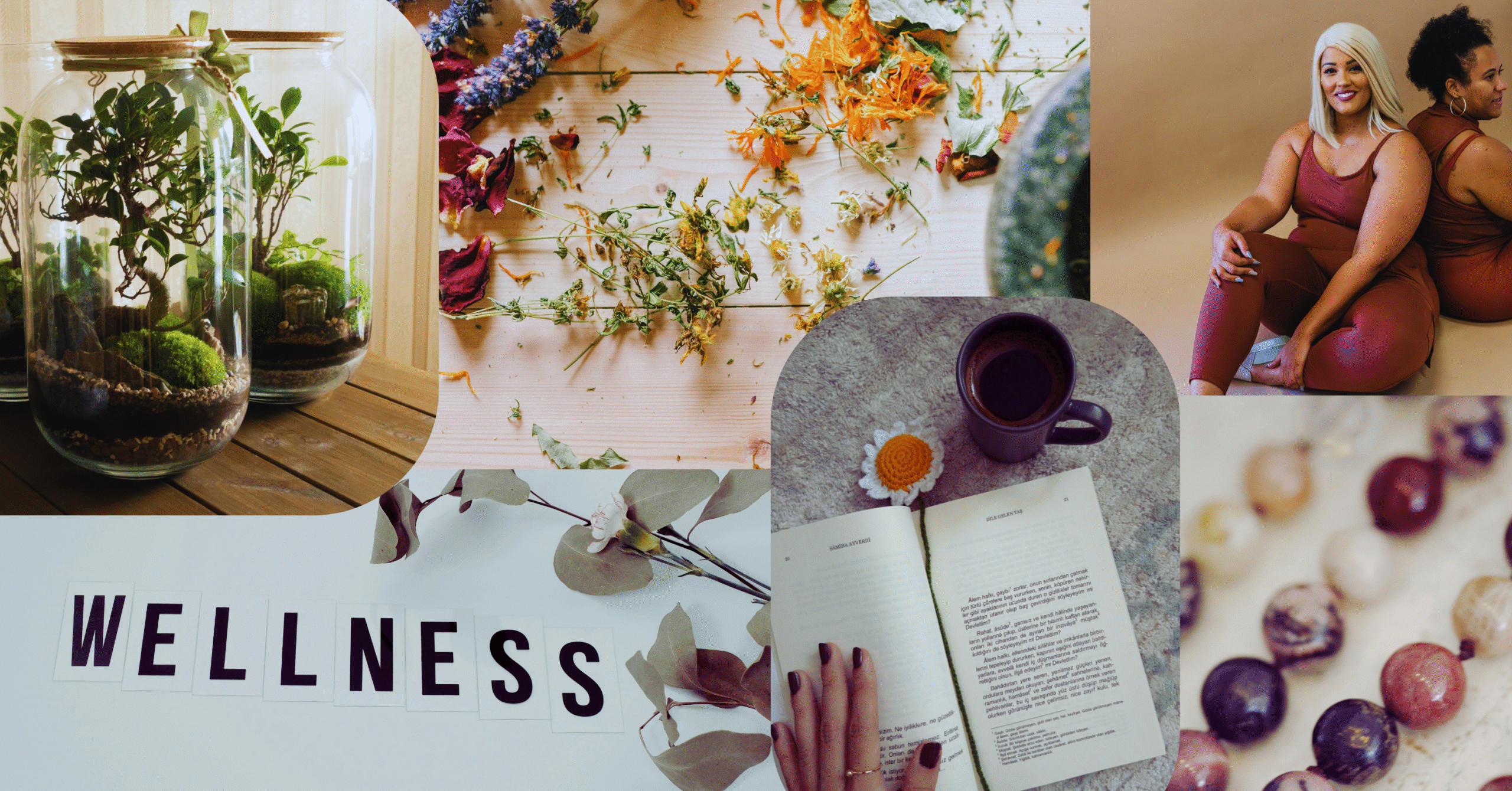 Green Plant Care Facebook Ad-2