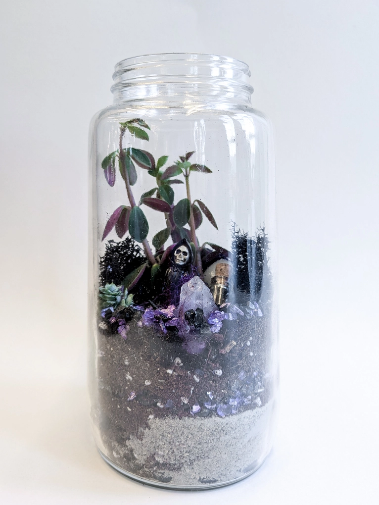 Halloween DIY Terrarium | Fall Plant Craft Kit - Image 5