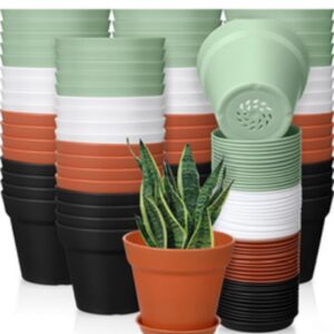 4” Plant Pot w/ saucers